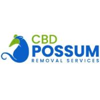 CBD Possum Removal image 1